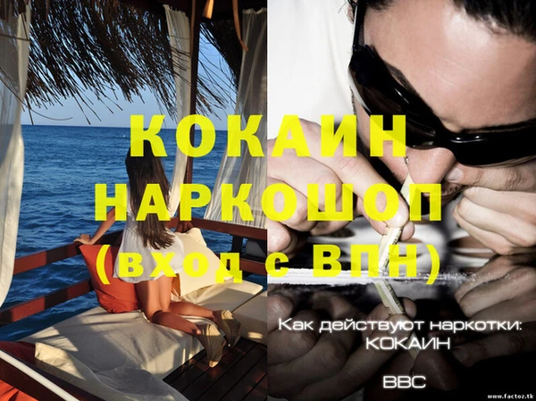 мяу мяу мука Аркадак