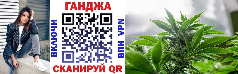 Конопля сатива  Певек 
